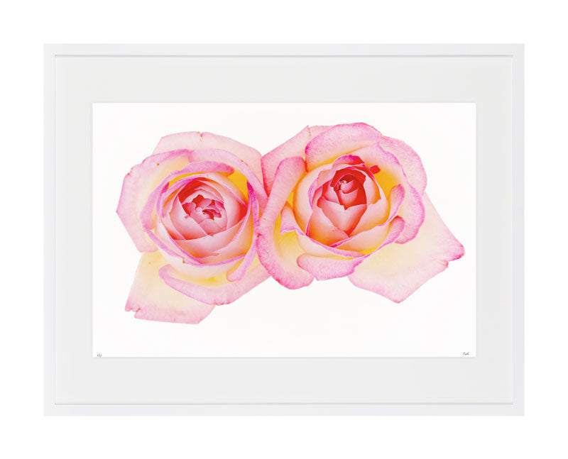 フラワーページ Scenery of flowers・3 | portsidelaboratory STORE